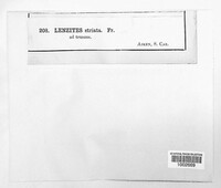 Image Associated With the Occurence